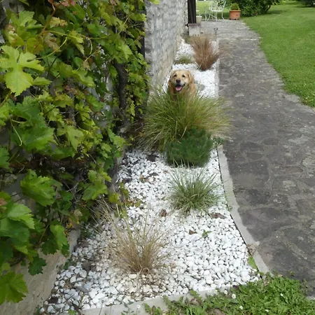 Le Clos Joli